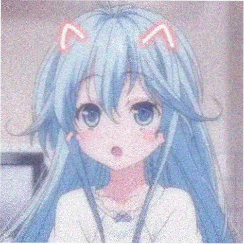 主播